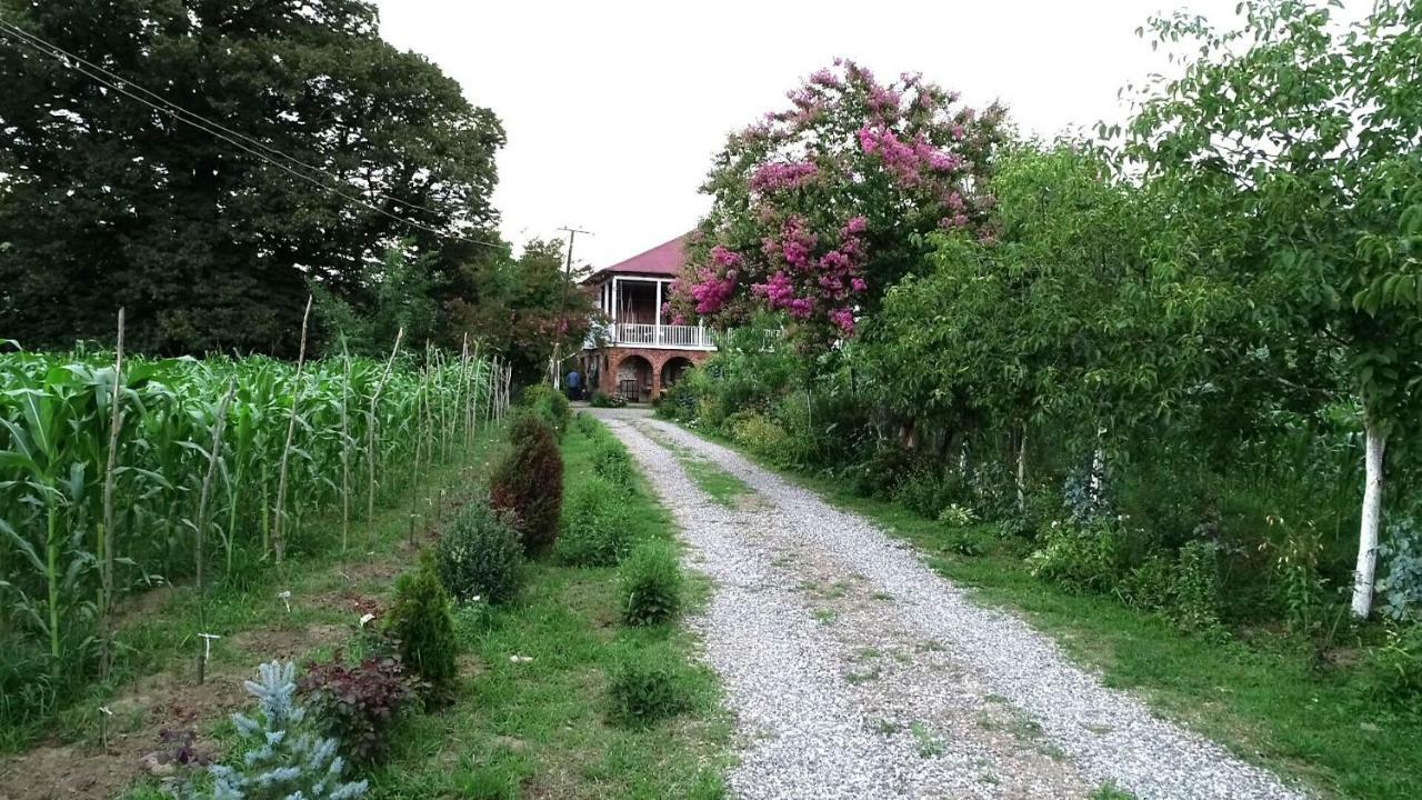 Guesthouse Kamelia Martvili Eksteriør billede