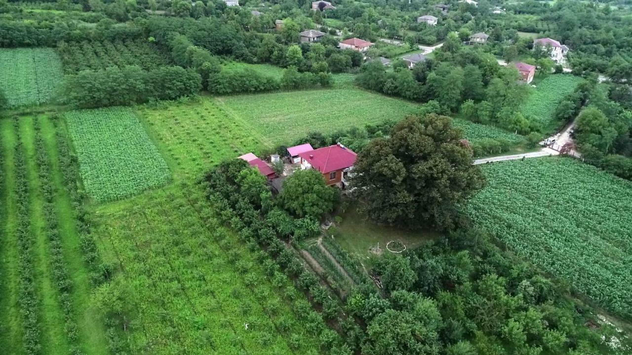 Guesthouse Kamelia Martvili Eksteriør billede